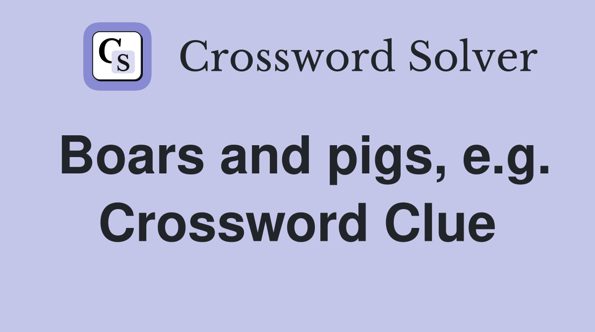 Boars and pigs, e.g. Crossword Clue