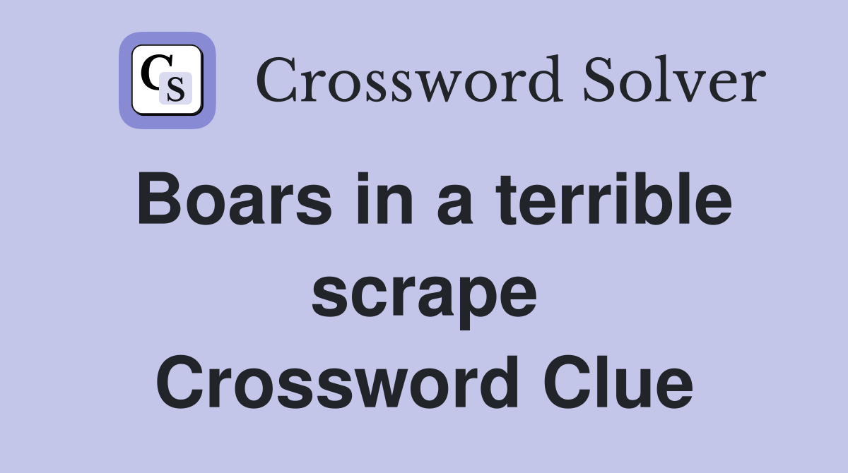 Boars in a terrible scrape Crossword Clue