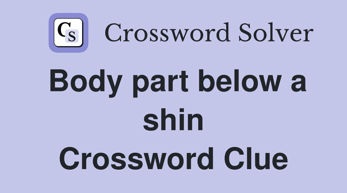 Body part below a shin Crossword Clue