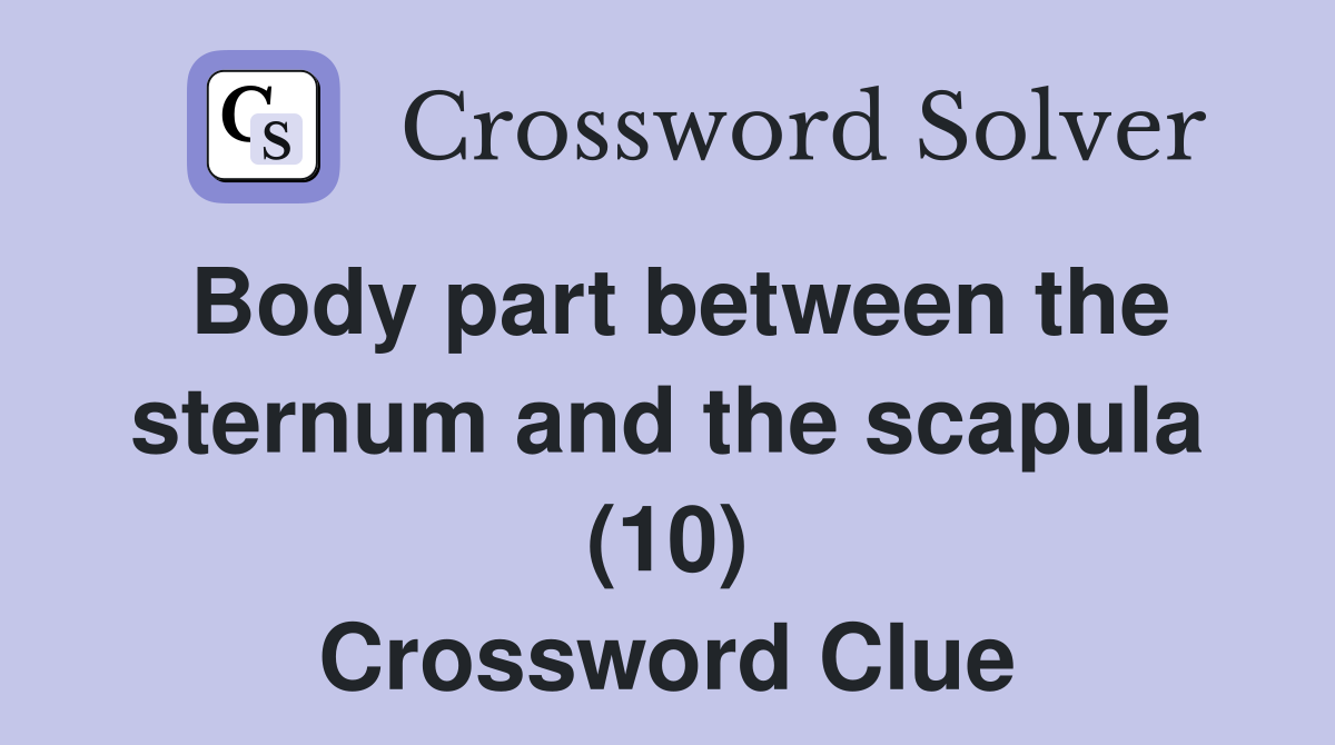 Body part between the sternum and the scapula (10) Crossword Clue
