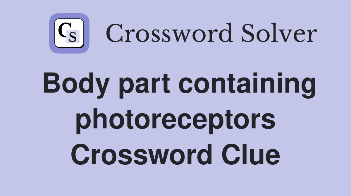 Body part containing photoreceptors Crossword Clue