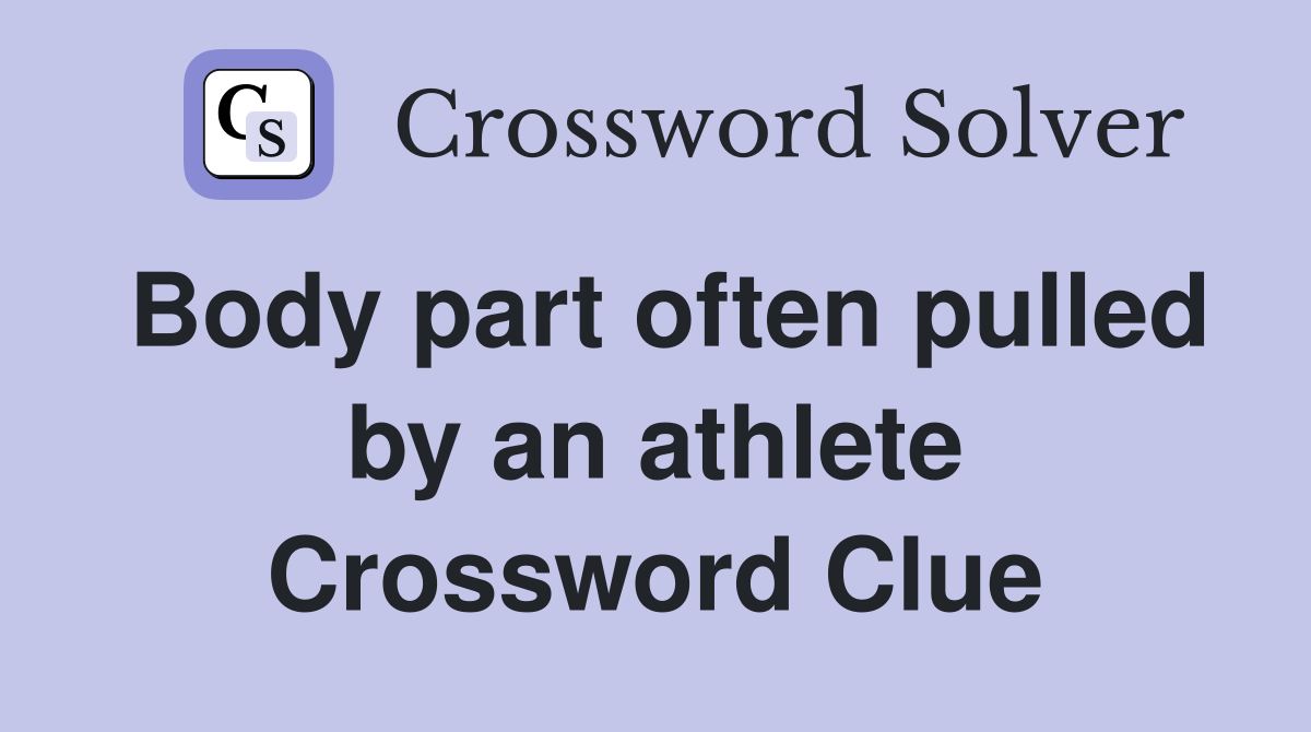 Body part often pulled by an athlete Crossword Clue