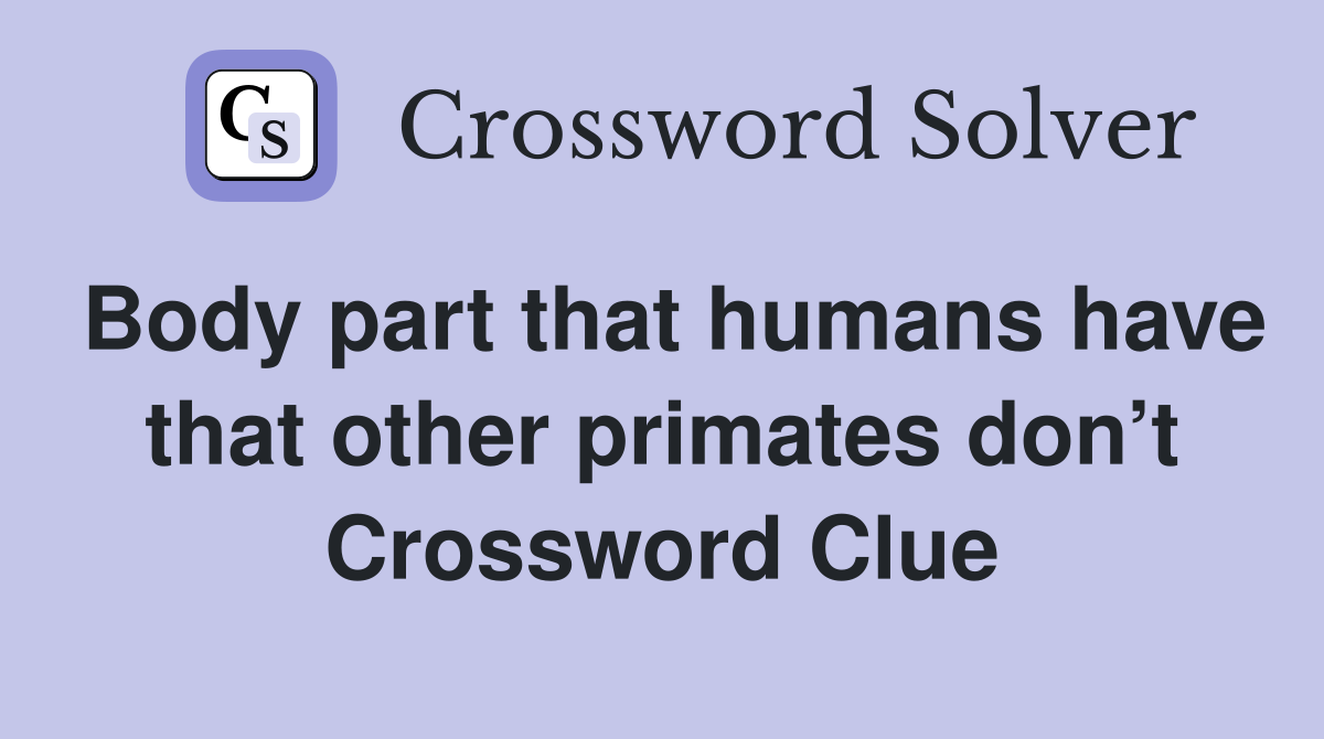 Body part that humans have that other primates don’t Crossword Clue