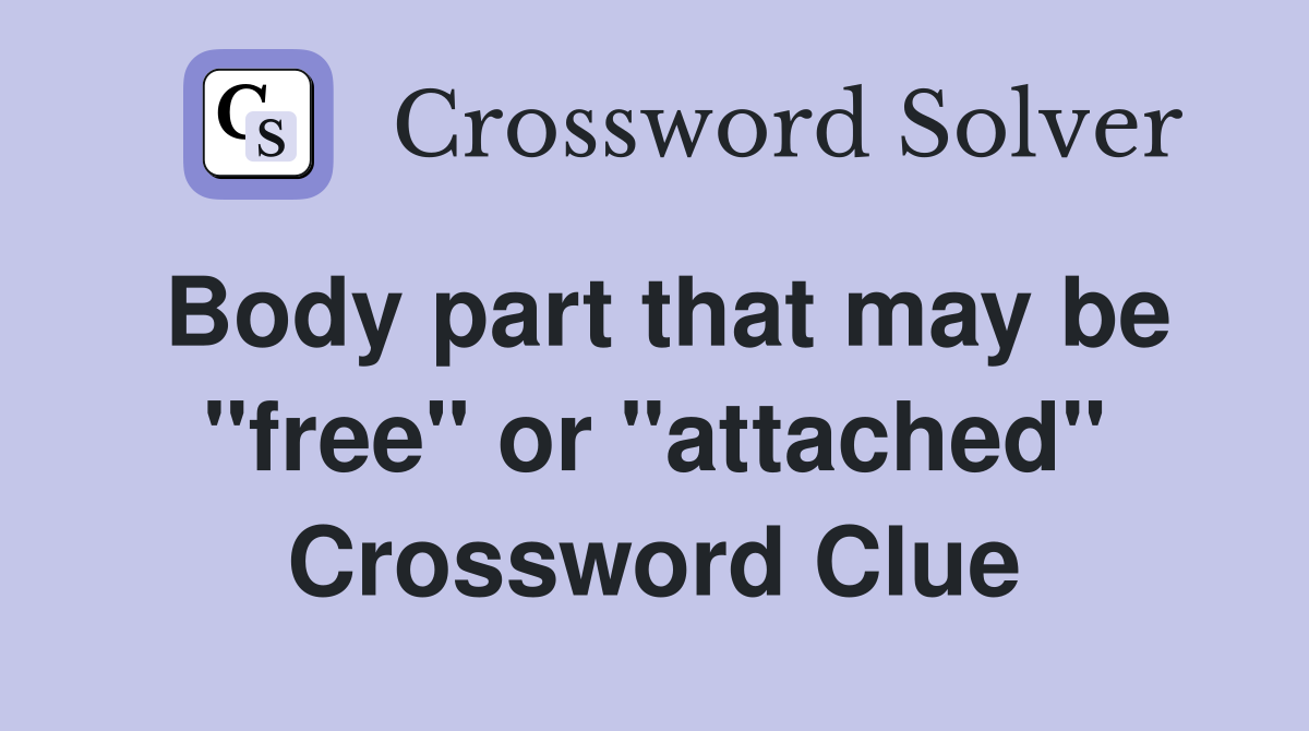 Body part that may be "free" or "attached" Crossword Clue