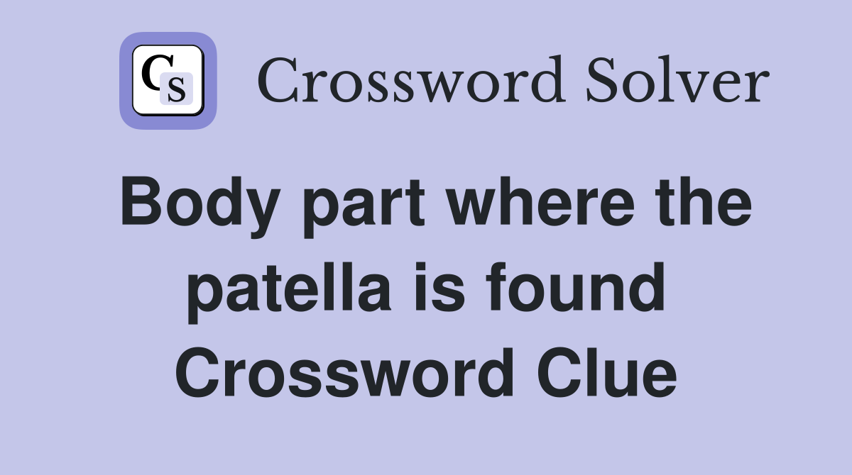 Body part where the patella is found Crossword Clue