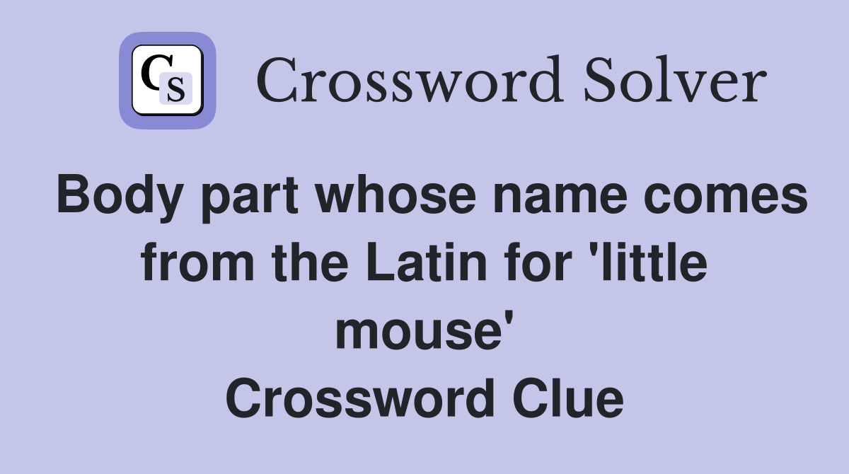Body part whose name comes from the Latin for 'little mouse' Crossword Clue