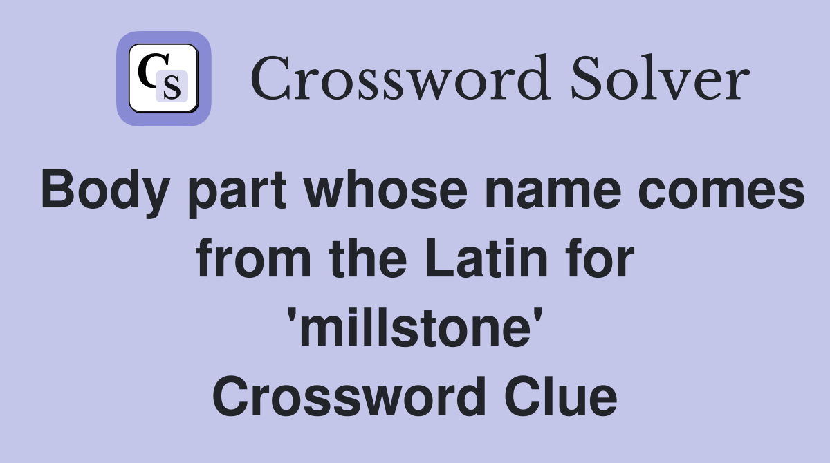 Body part whose name comes from the Latin for 'millstone' Crossword Clue