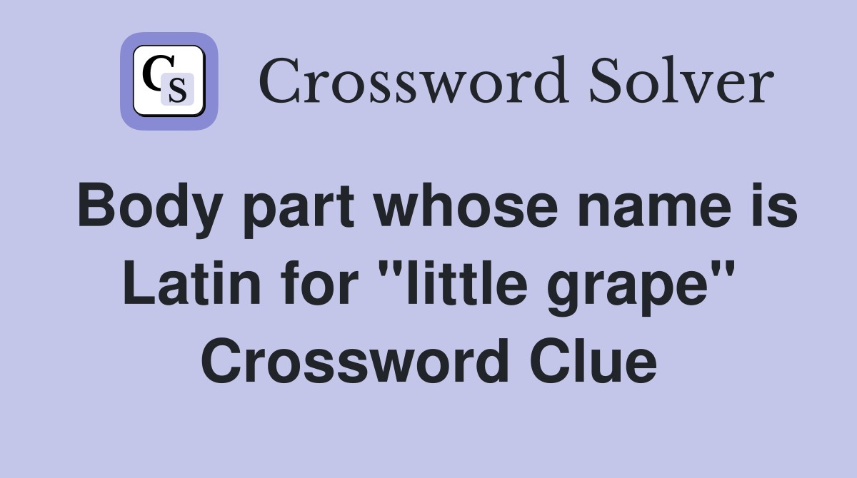 Body part whose name is Latin for "little grape" Crossword Clue