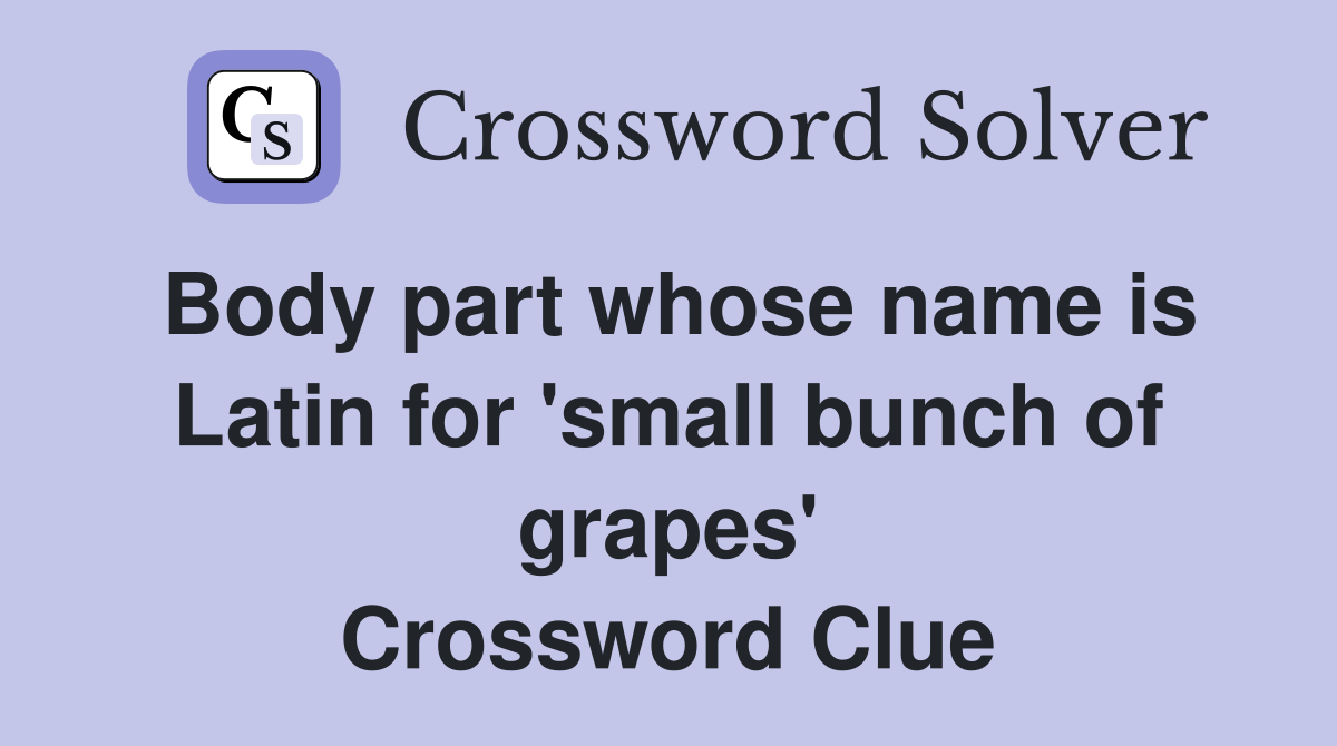Body part whose name is Latin for 'small bunch of grapes' Crossword Clue