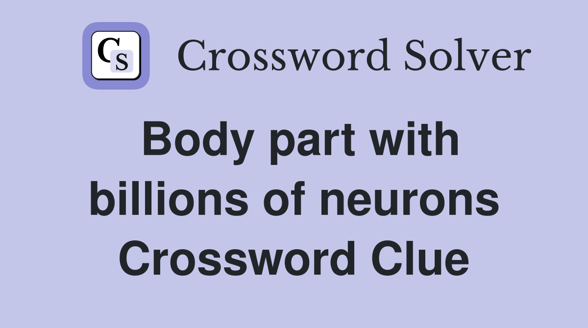 Body part with billions of neurons Crossword Clue