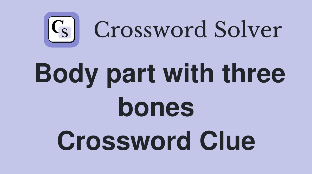 Body part with three bones Crossword Clue