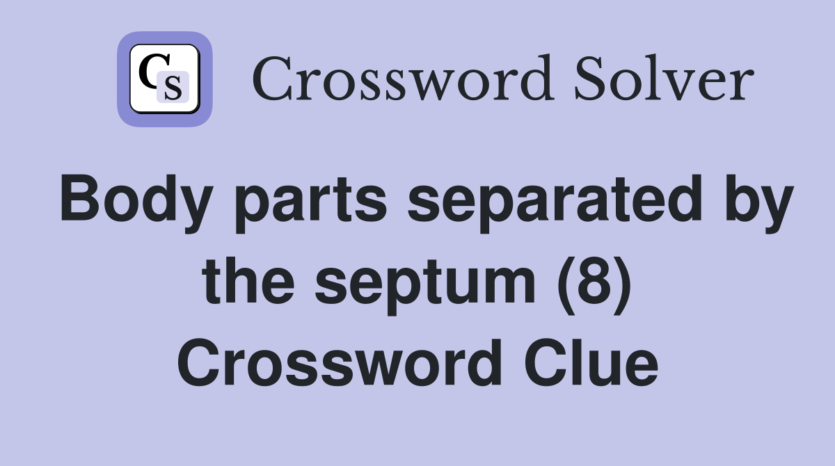 Body parts separated by the septum (8) Crossword Clue