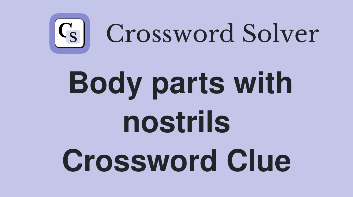 Body parts with nostrils Crossword Clue
