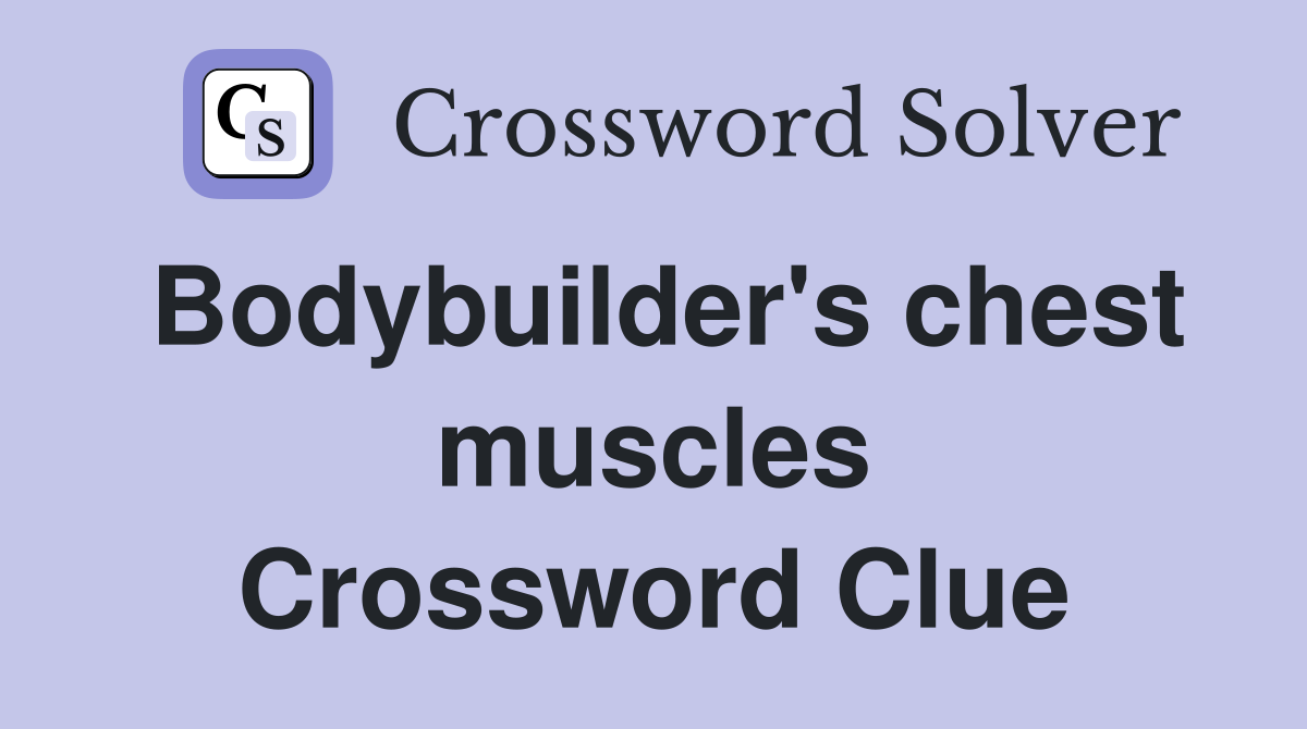 Bodybuilder's chest muscles Crossword Clue
