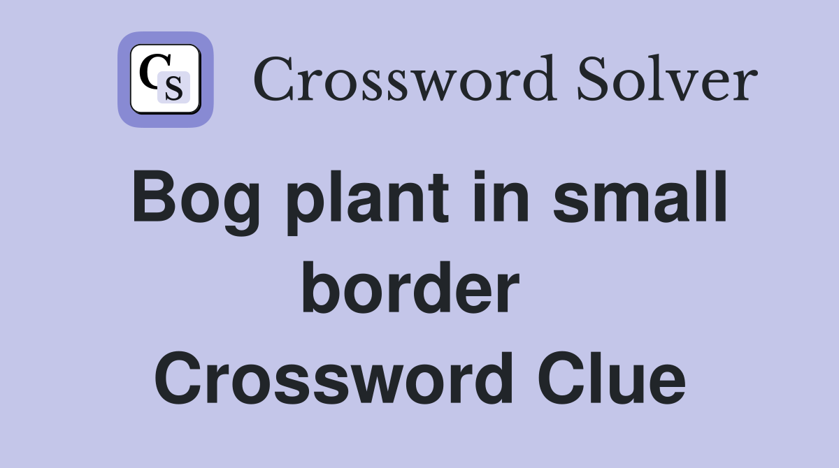 Bog plant in small border  Crossword Clue
