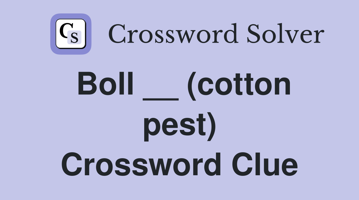 Boll __ (cotton pest) Crossword Clue