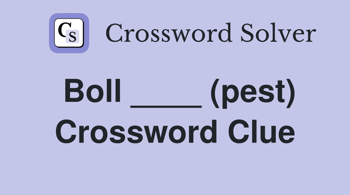 Boll ____ (pest) Crossword Clue
