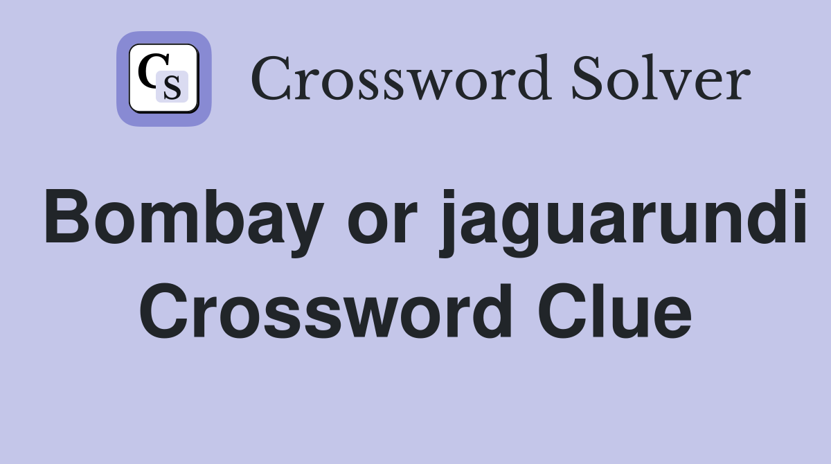 Bombay or jaguarundi Crossword Clue