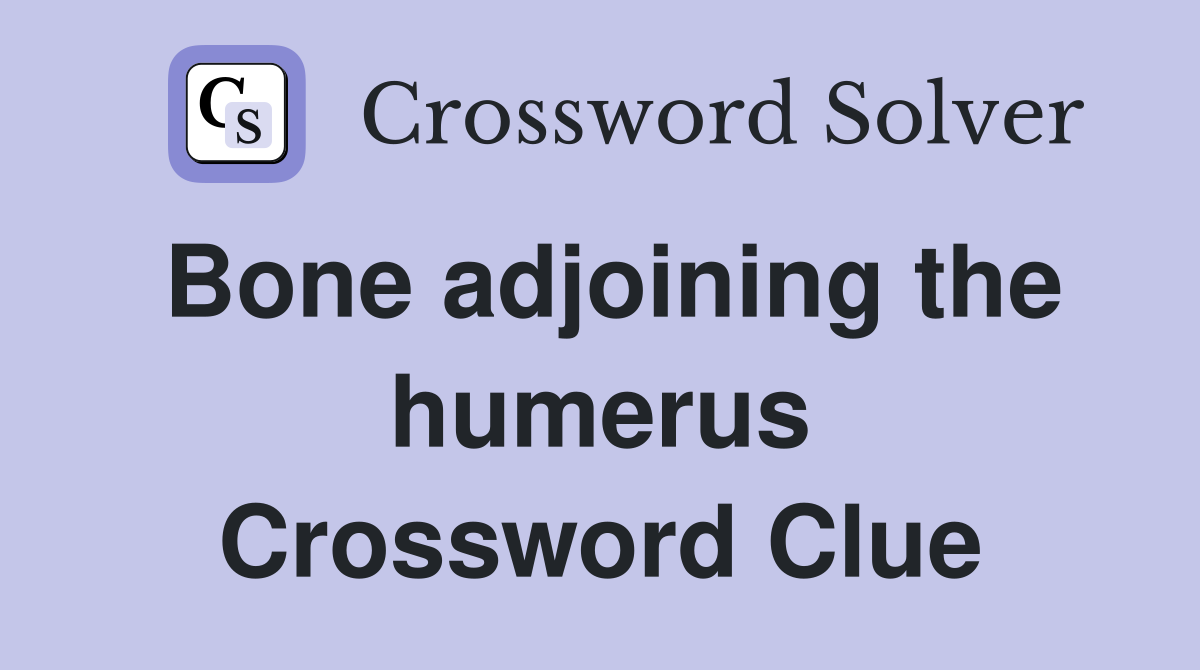 Bone adjoining the humerus Crossword Clue