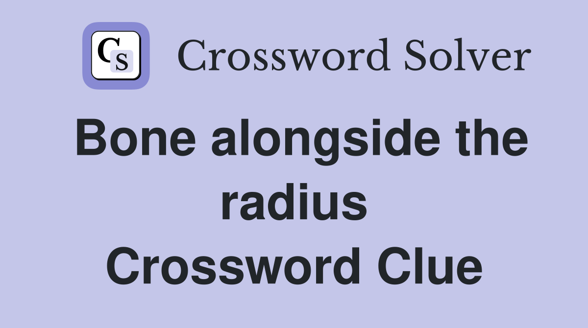 Bone alongside the radius Crossword Clue