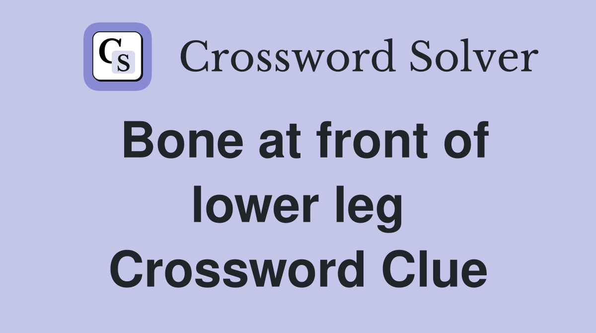 Bone at front of lower leg Crossword Clue