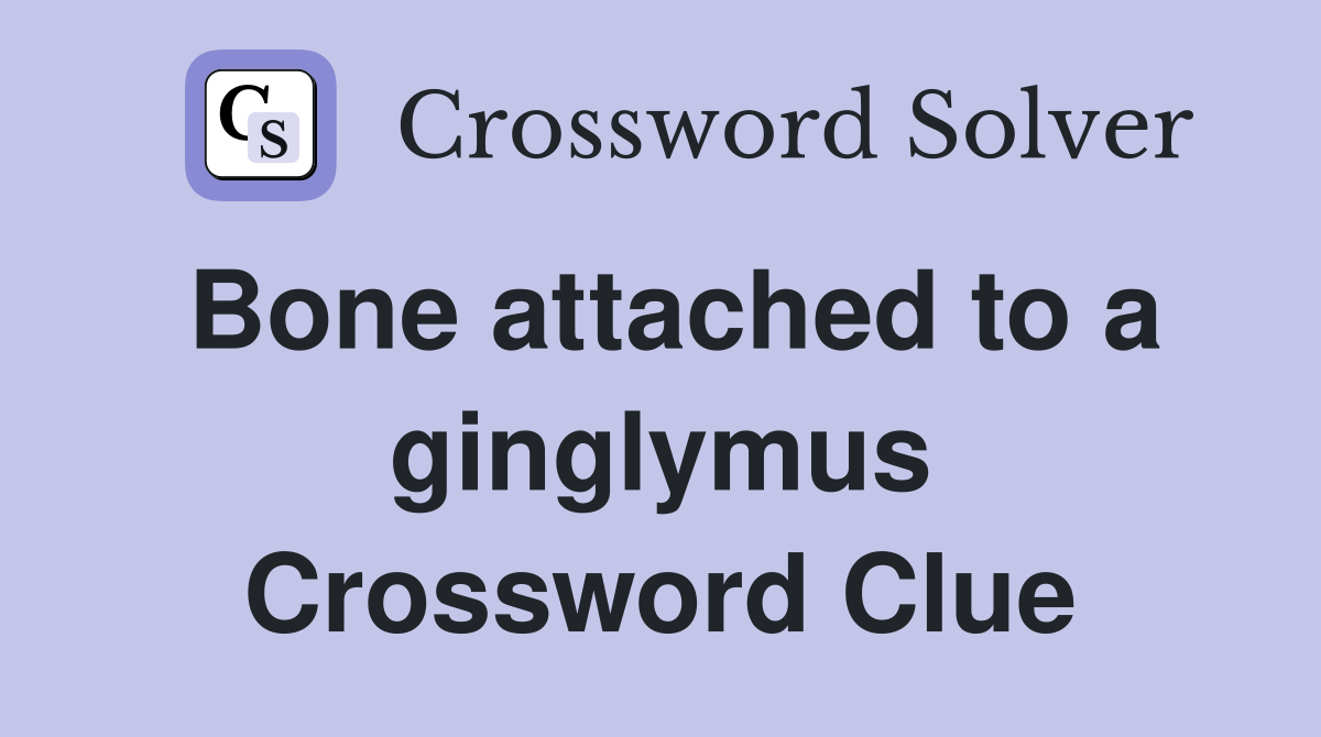 Bone attached to a ginglymus Crossword Clue