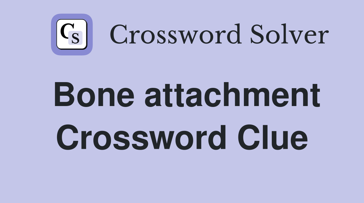 Bone attachment Crossword Clue