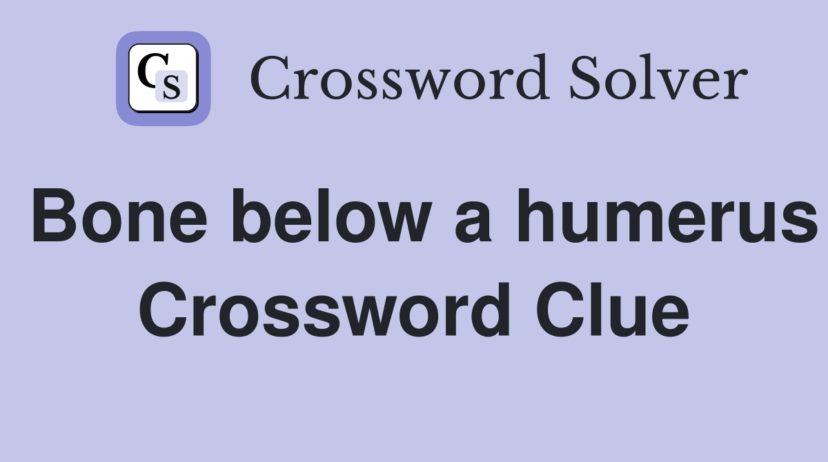 Bone below a humerus Crossword Clue