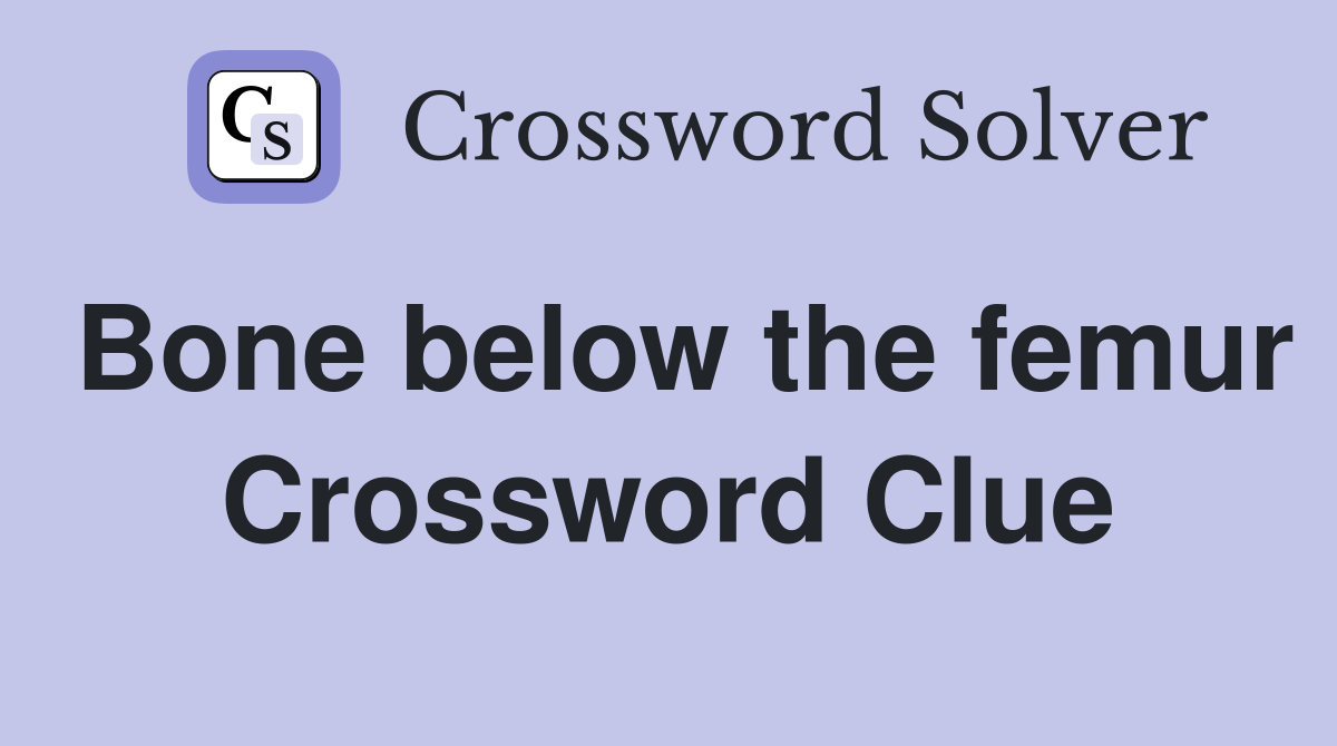 Bone below the femur Crossword Clue