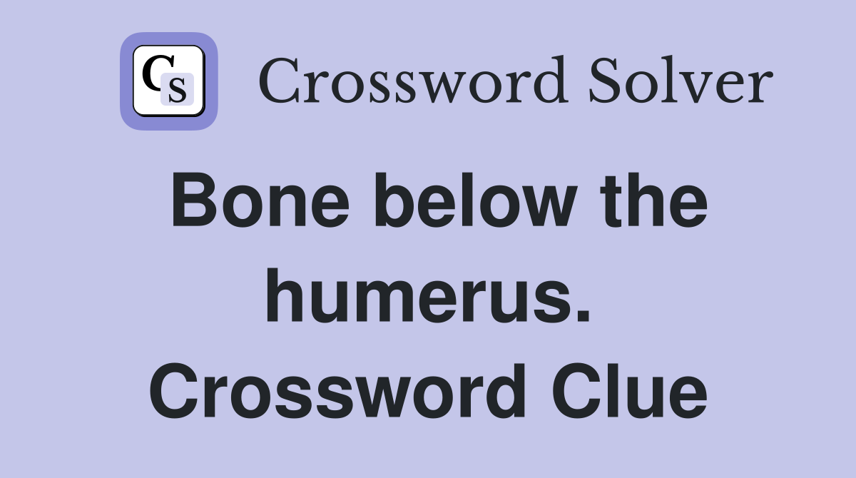 Bone below the humerus. Crossword Clue