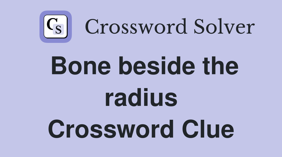 Bone beside the radius Crossword Clue