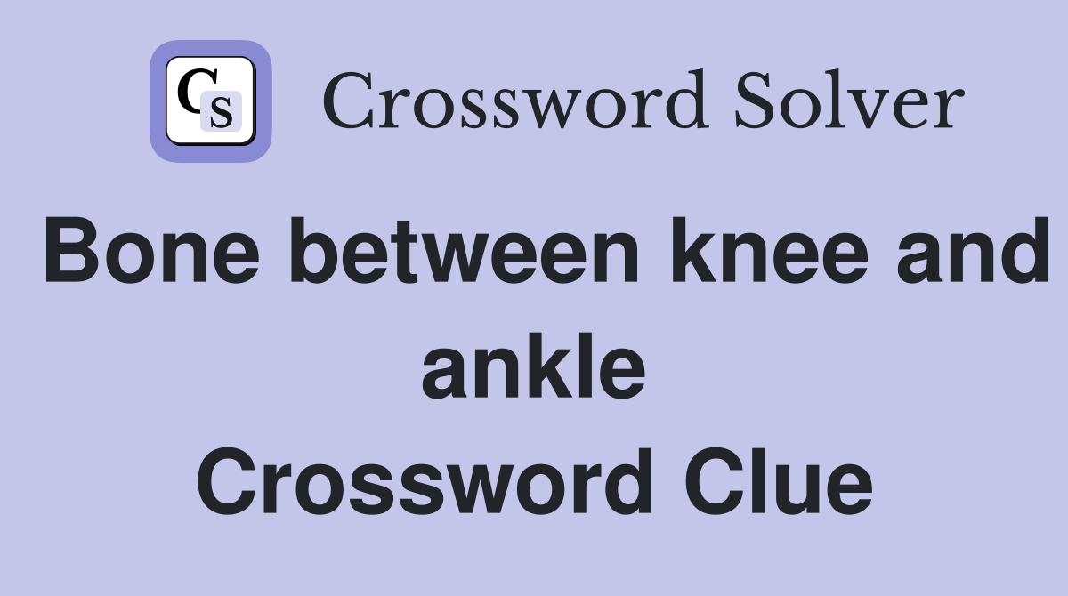 Bone between knee and ankle Crossword Clue