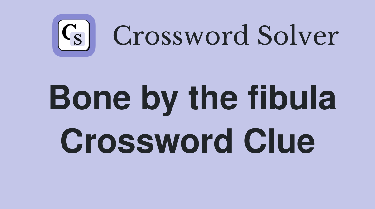 Bone by the fibula Crossword Clue