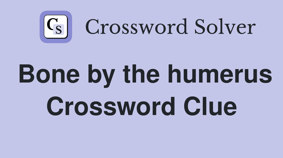 Bone by the humerus Crossword Clue