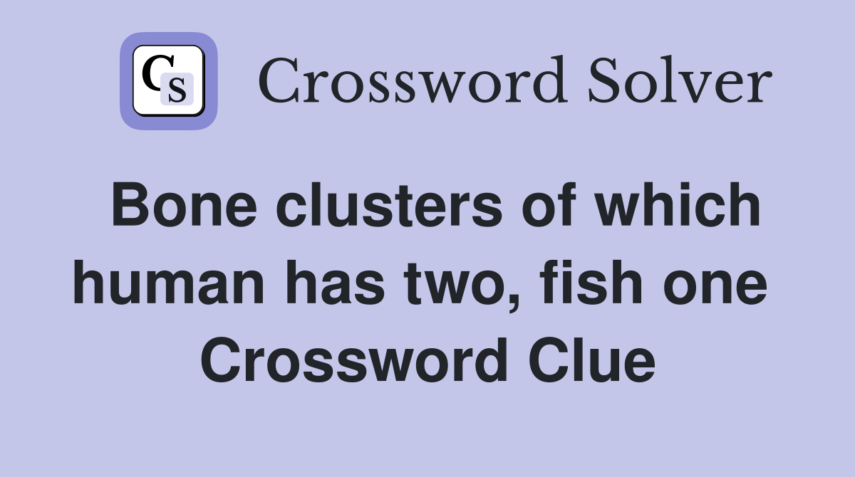 Bone clusters of which human has two, fish one  Crossword Clue