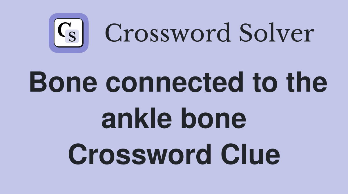 Bone connected to the ankle bone Crossword Clue