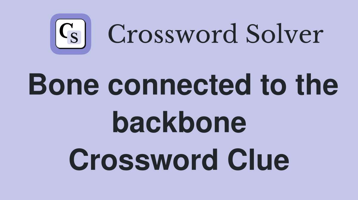 Bone connected to the backbone Crossword Clue