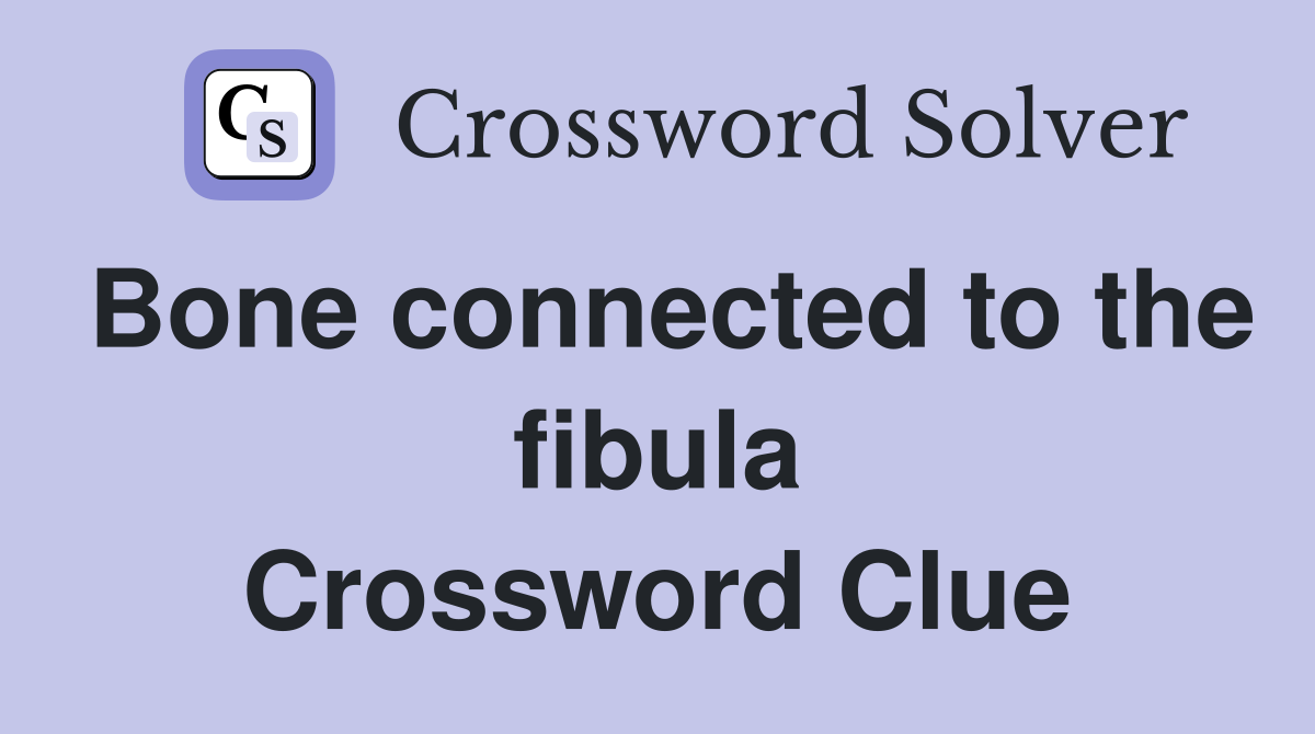 Bone connected to the fibula Crossword Clue