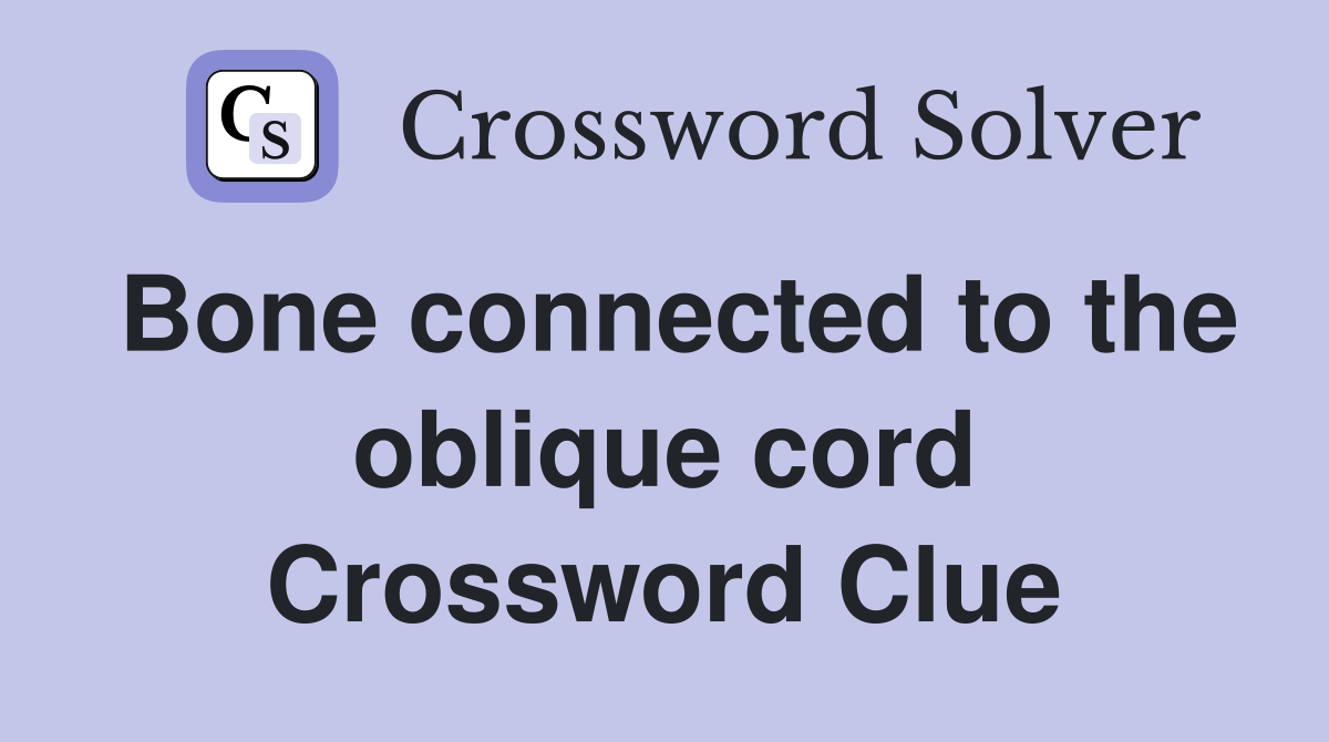 Bone connected to the oblique cord Crossword Clue