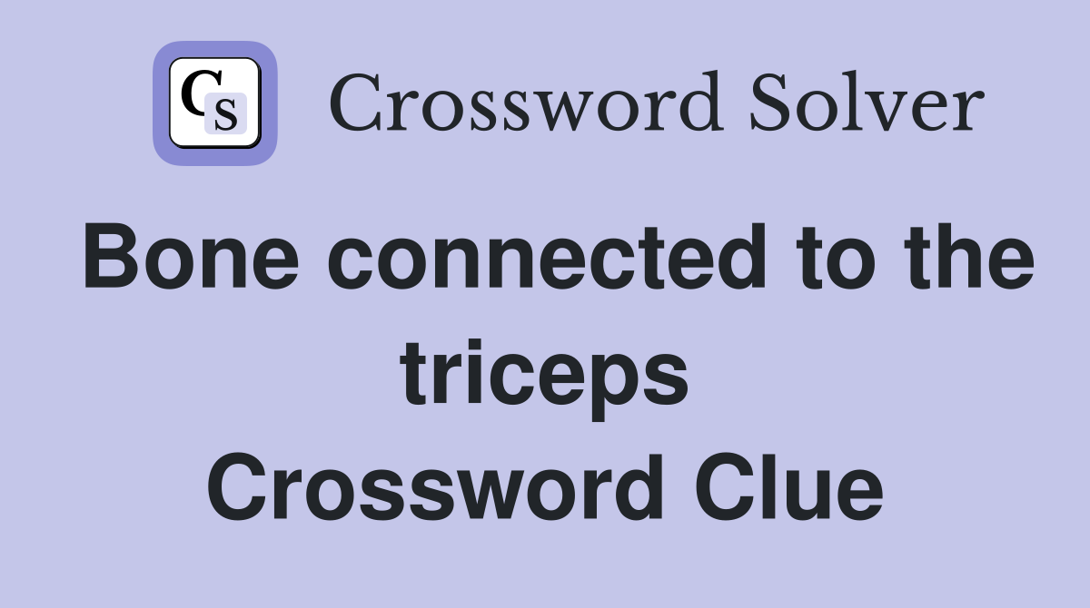 Bone connected to the triceps Crossword Clue