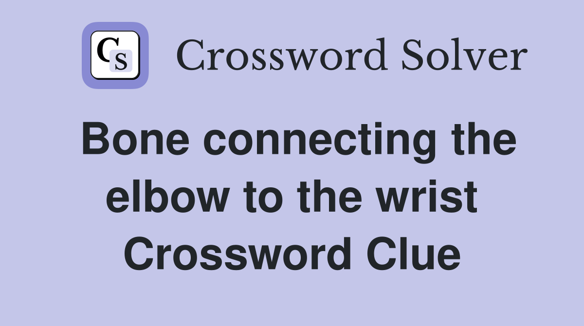 Bone connecting the elbow to the wrist Crossword Clue