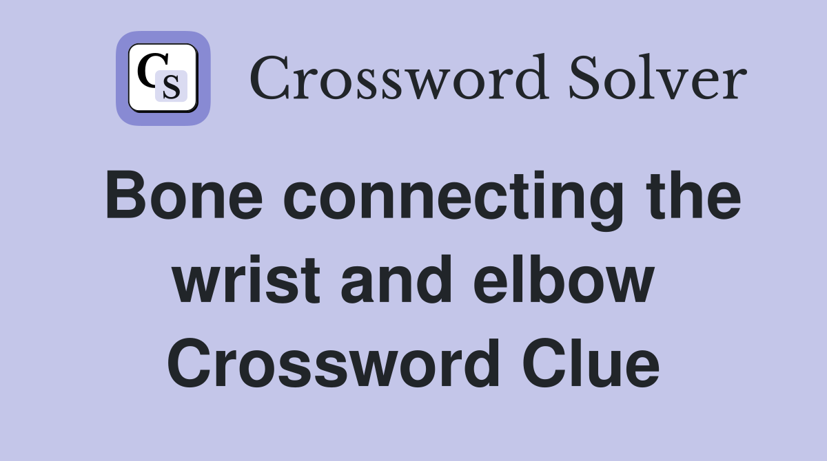 Bone connecting the wrist and elbow Crossword Clue