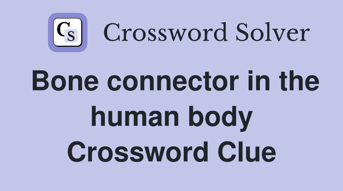 Bone connector in the human body Crossword Clue