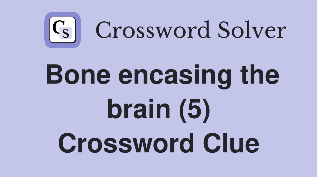 Bone encasing the brain (5) Crossword Clue