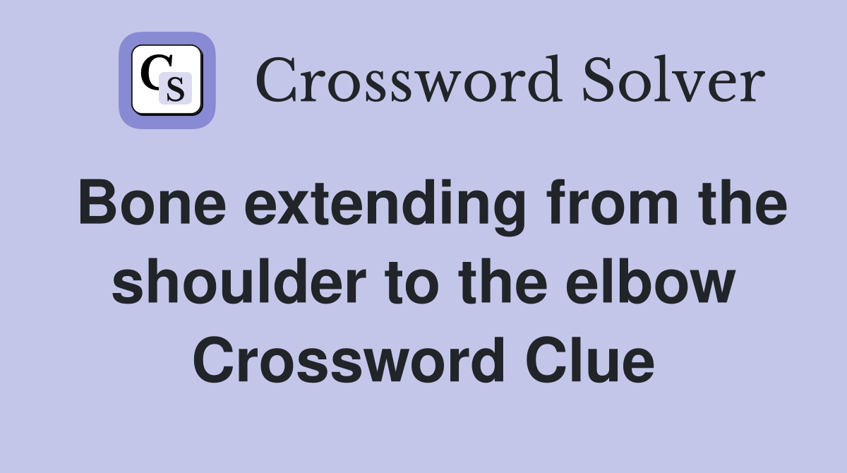 Bone extending from the shoulder to the elbow Crossword Clue