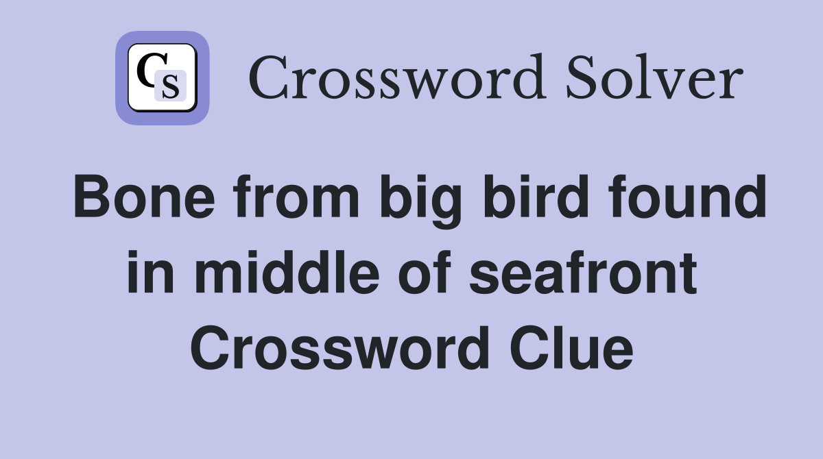 Bone from big bird found in middle of seafront Crossword Clue