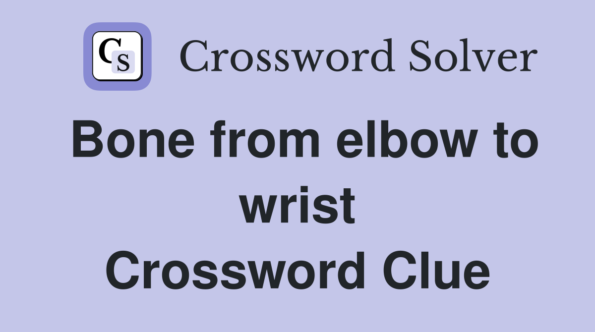 Bone from elbow to wrist Crossword Clue