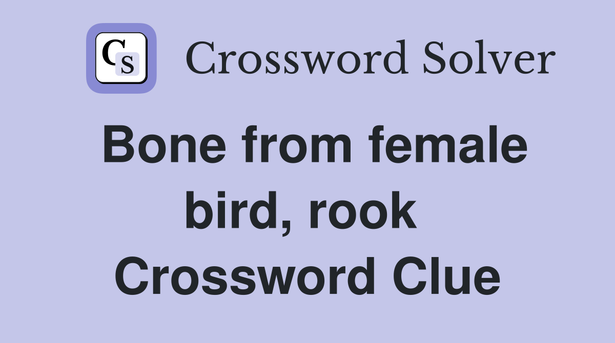 Bone from female bird, rook  Crossword Clue