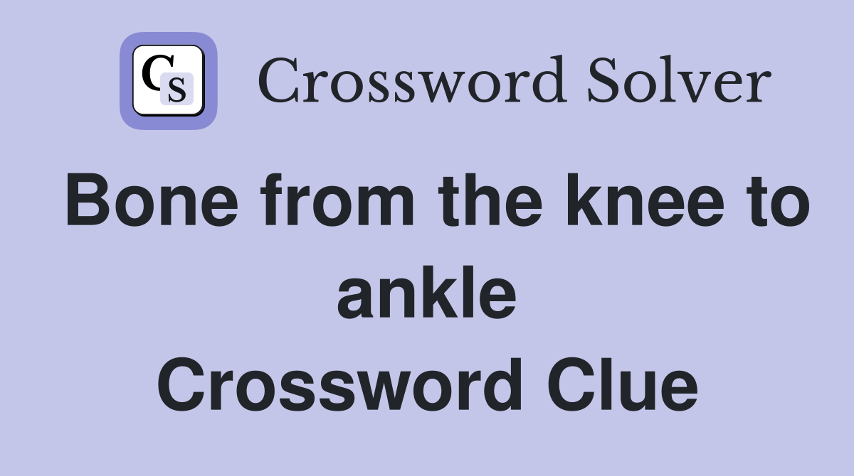 Bone from the knee to ankle Crossword Clue