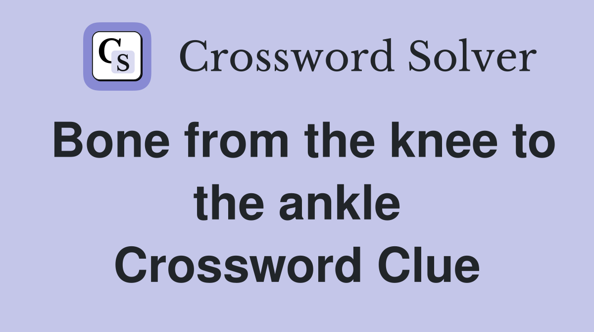 Bone from the knee to the ankle Crossword Clue
